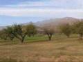 videos de Fillmore to Ojai, California