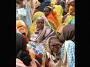 Save Darfur