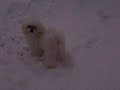 Casperino y Carlos en la nieve