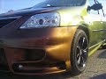 Airbrushed Cameleon Dacia Logan Airbrushed Cameleon Dacia Logan