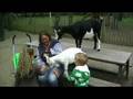 Kinderboerderij
