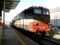 MI 55005 Roma Smistamento - Cerignola E655.243 grigio blu - Tramogge