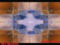 supermode- tell me why