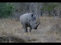 afrique du sud version avec musique