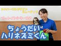 【ユニバーサルデザインミュージック】ちょうだいハリネズミくん/あそびうた・保育に関する動画
