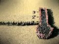 Ver video