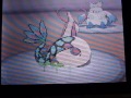 Click here to watch this video PKMN Black wi-fi match 55# vs Gearswill : the dragometeor