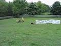 Mocean herds-Lesson 15 (1)