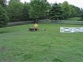Mocean herds-Lesson 15 (1)