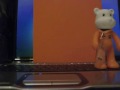 Nounours sur Foo Fighters vs Starsailor !! Nounours sur Foo Fighters vs Starsailor !!
