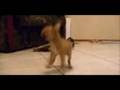 Assistir ao v�deo