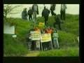 videos de Zezalice - Suntavilo