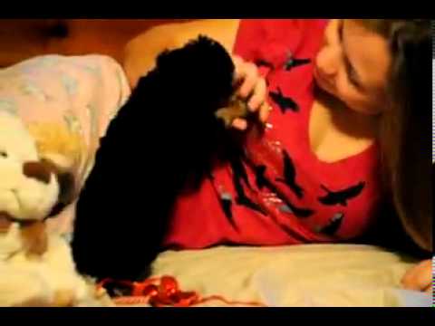 Christmas Girl playing with my kid