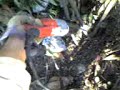 Evan Uses a Sawzall One Handed Evan Uses a Sawzall One Handed