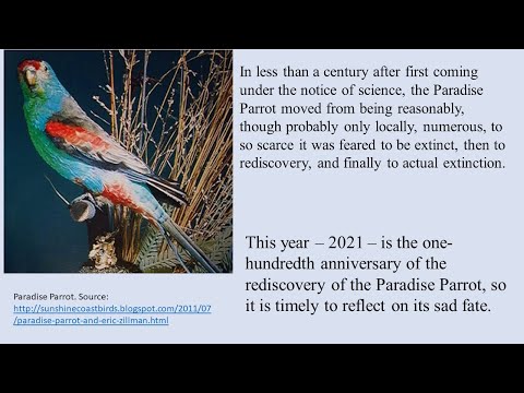 <p>The Paradise Parrot – Some Reflections on the Centenary of its Discovery</p>
 video thumbnail