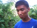 bfor tatay