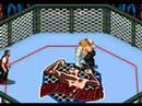 Fire Pro Wrestling S:6 Man Scramble Review-Saturn