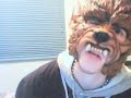 wolfie are you ok? wolfie are you ok?