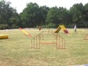 Tücsök Cup - Tilos agility