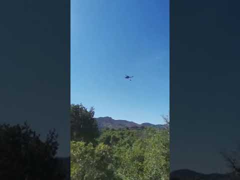 Incendio Elba, elicottero in azione a Capo d'Arco