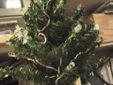 ADOP driven Christmas Tree