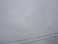 flight