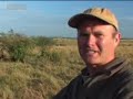 King of the jungle, male lions have the life in Africa. With the Ridge Pride all together, it's time for the males to strut their stuff and leave the business to the females. From the BBC.