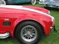 2000 DRB Weineck Cobra replica 2000 DRB Weineck Cobra replica