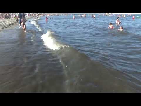 Brudna woda na plaży w Gdyni. Uroki polskiego morza..