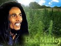 lauryn hill ft ziggy marley