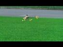 E Sky Belt CP Heli Maiden Flight