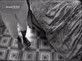Ver Video