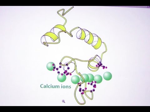 how to dissolve vitamin k