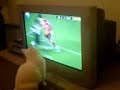 ergun penbe yi enseleyen kedi :))))))))))