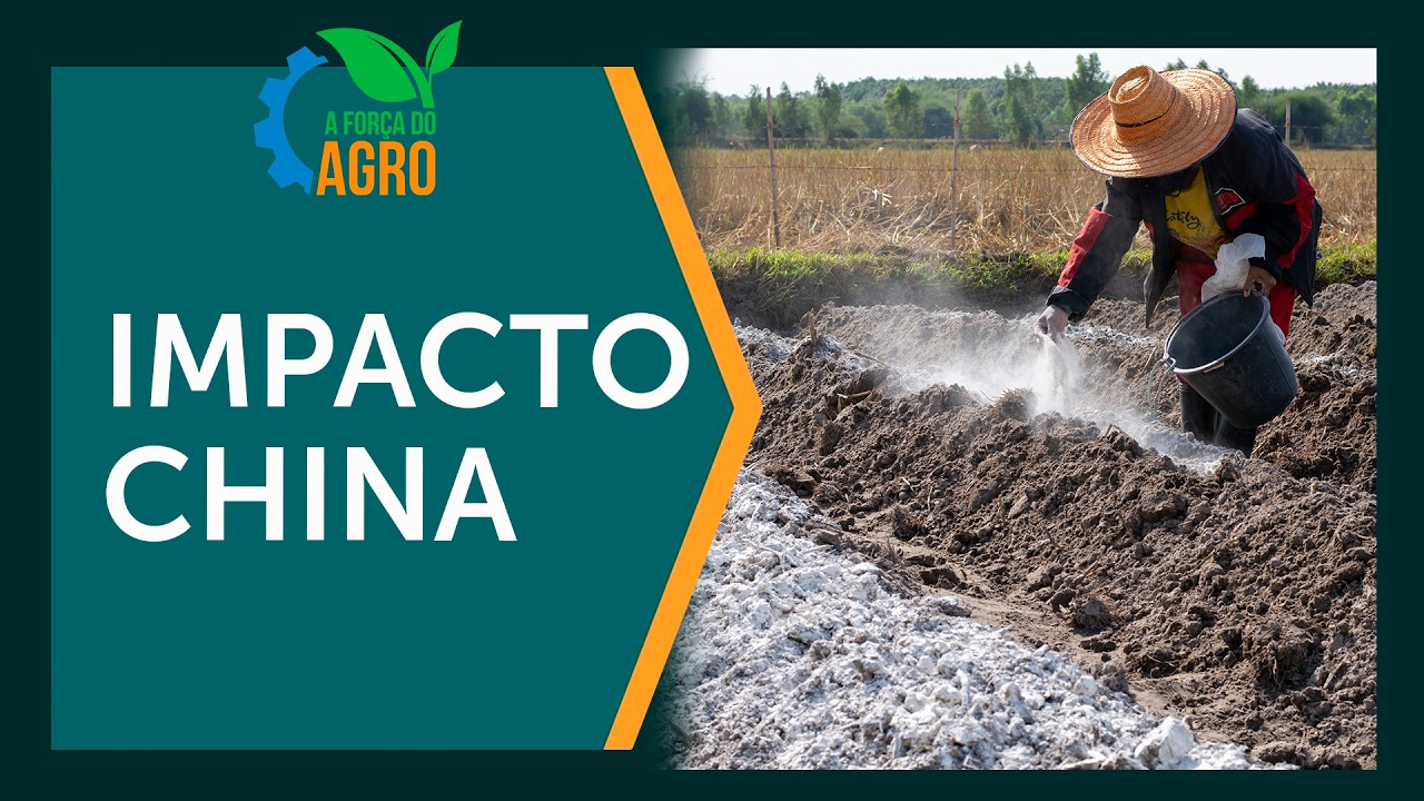 China e o segredo da alta nos fertilizantes: entenda  |  A Força do Agro, com Joice Maffezzolli