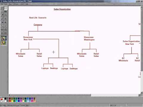 how to define division in sap
