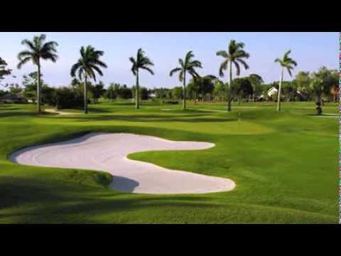 how to dye golf balls