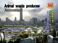 Global Warming Message 4 save earth