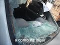 Pilcaya coche Chahua cobardes Pilcaya coche Chahua cobardes