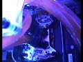 Bishop, my new PC!