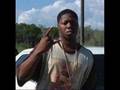 I Hate You Bitch By: Z-Ro