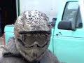 super dirty dog super dirty dog