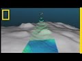 Dumbo, Other Deep-Sea Oddities Found
