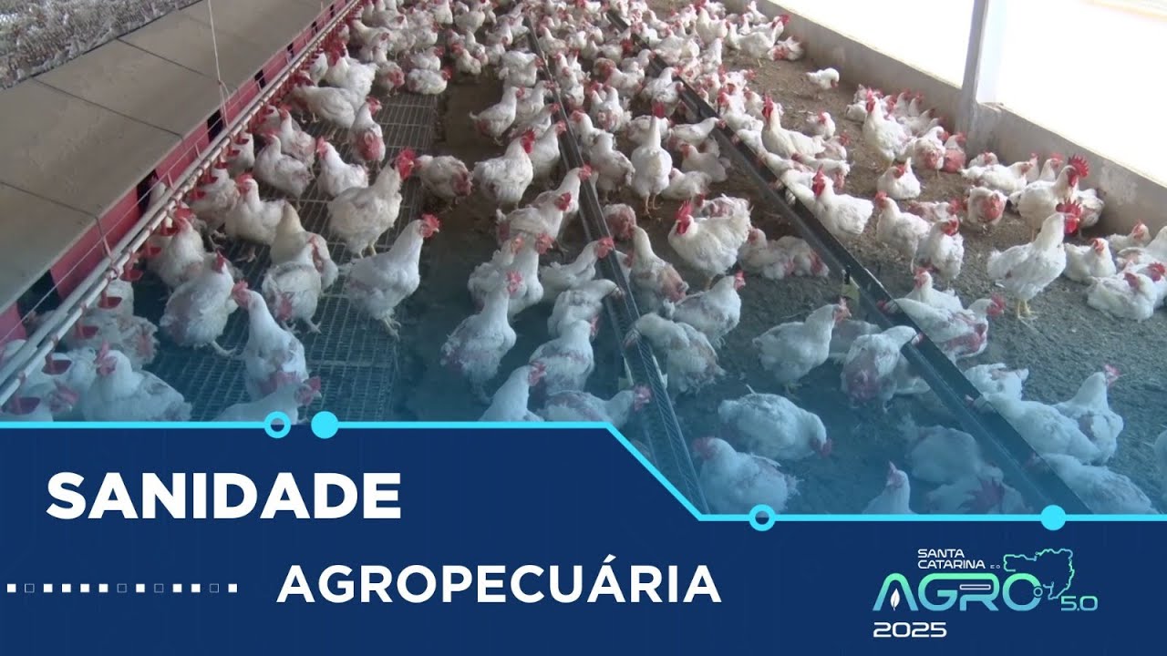 ICASA completa 20 anos de atuação no setor da sanidade animal em 2025