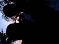 videos de the steven and chris duo