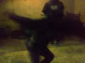 video 12