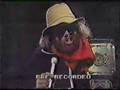 Macho Man Randy Savage freaking out!