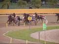81° Derby Italiano del Trotto 2008 - LANA DEL RIO