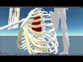 Science Learning Opportunities in Second Life Science Learning Opportunities in Second Life