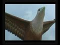 Langkawi Geopark Video Langkawi Geopark Video